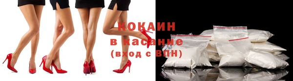 дживик Горняк