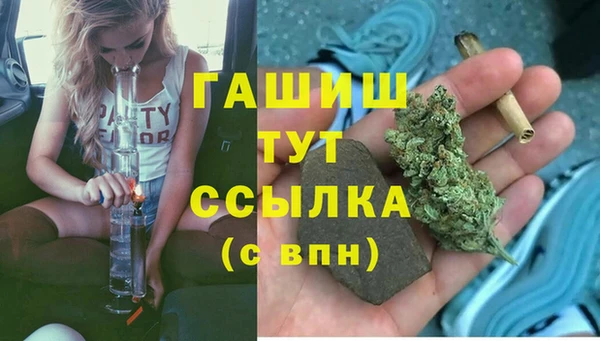 дживик Горняк