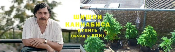 дживик Горняк