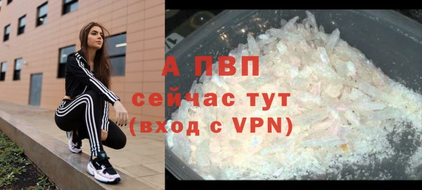 дживик Горняк